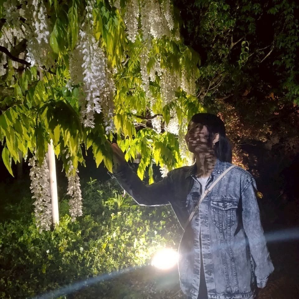 監修者 椎名 喜代美氏の画像